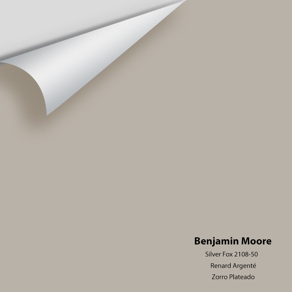 Benjamin Moore Silver Fox 210850 Colour Sample Centerpoint Paint
